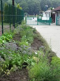 Śląski Ogród Botaniczny